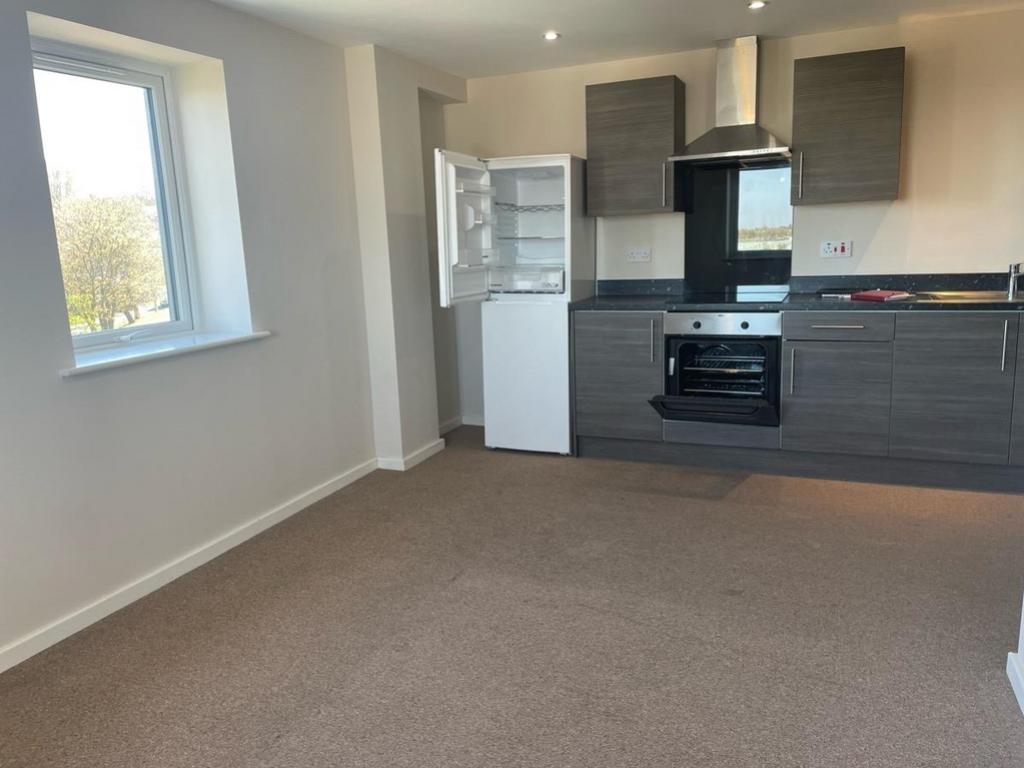 Open Plan Kitchen and Living Area