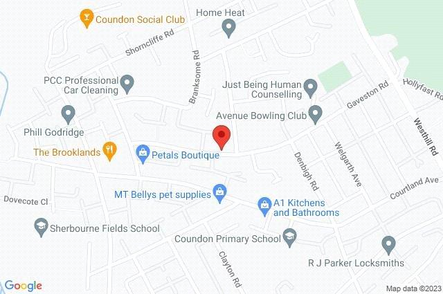 Google Maps Image
