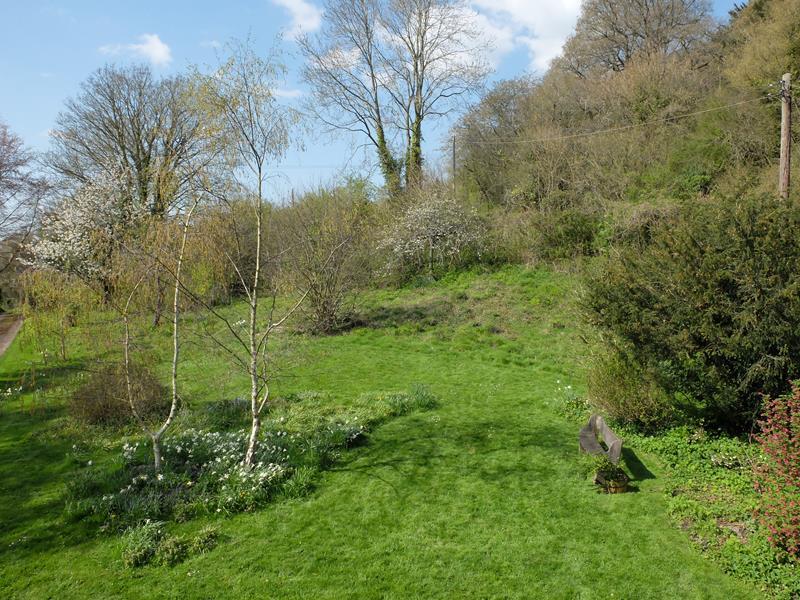 Photo 23