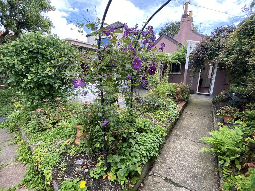 Fruit trees