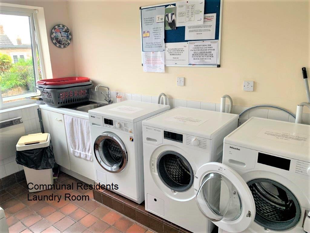 2 Sunnylaundry.jpg