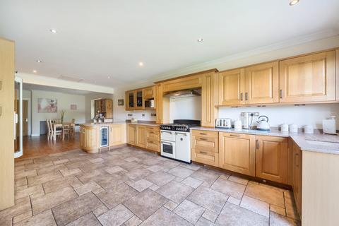 4 bedroom detached bungalow for sale - Rodden Down, Frome, BA11