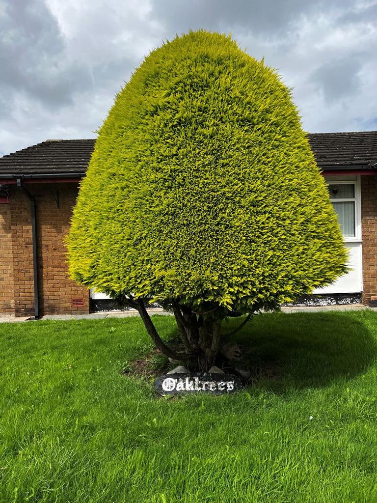 Photo 21
