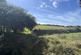 Image00013.jpeg