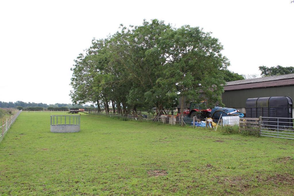 Img 3471.jpg