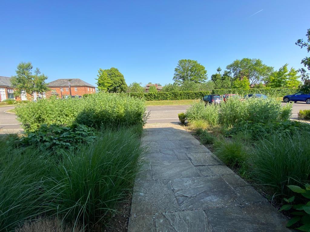 View from the front door