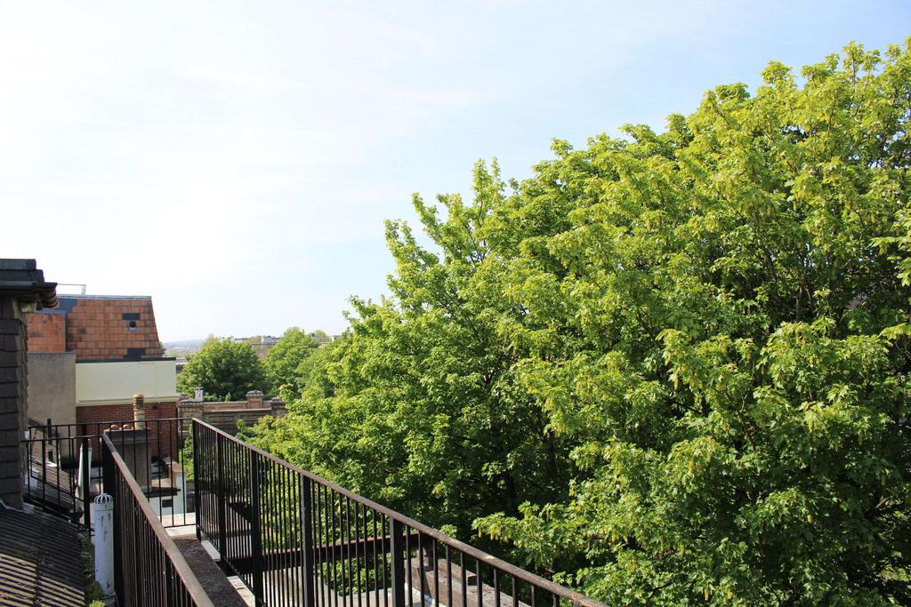View from Property at Back