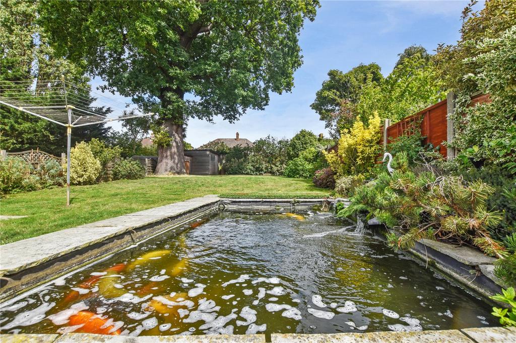 Pond