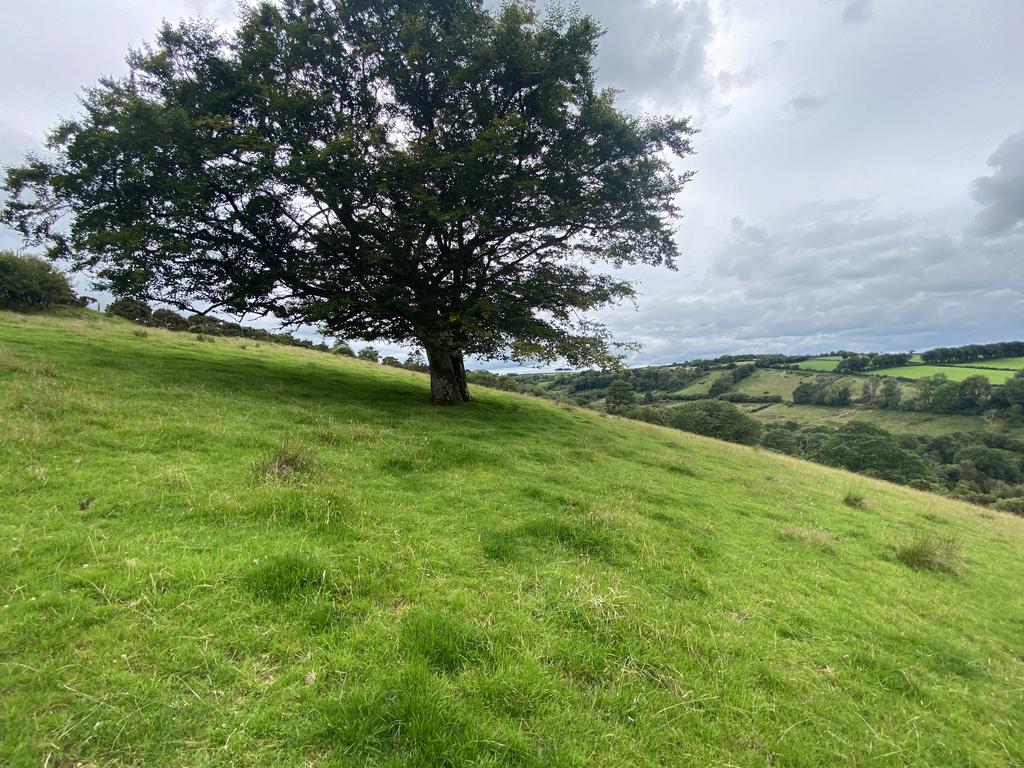 Land looking west