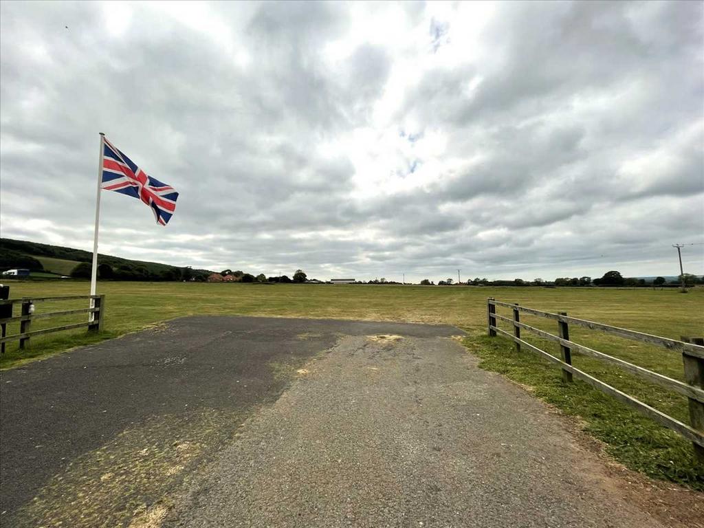 Field