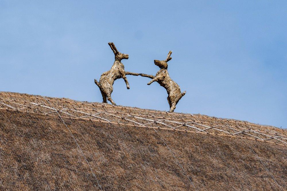 Boxing Hares