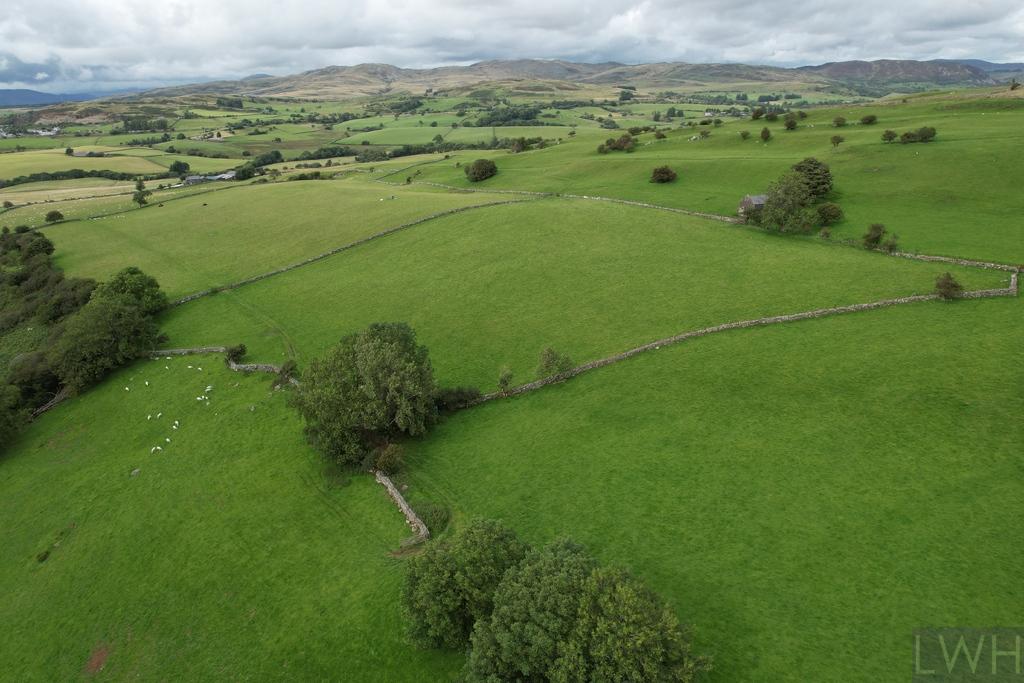 Dji 0361.jpg