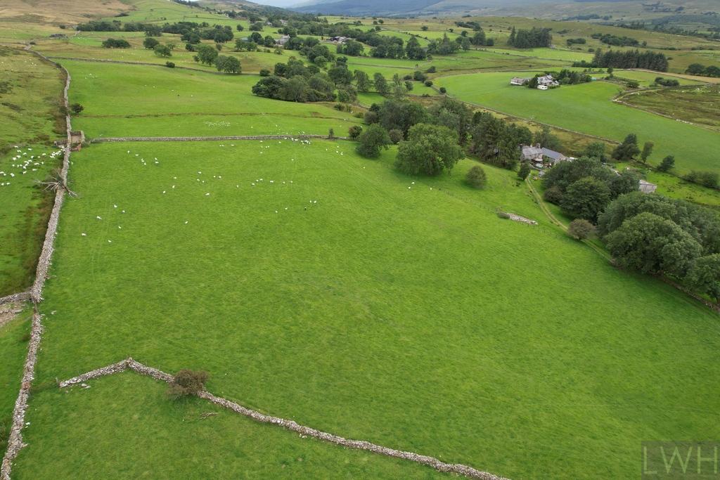 Dji 0375.jpg