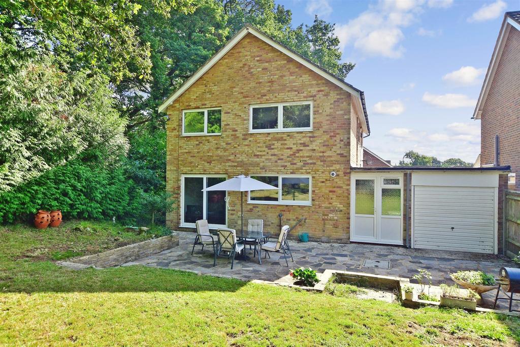 Rear Elevation