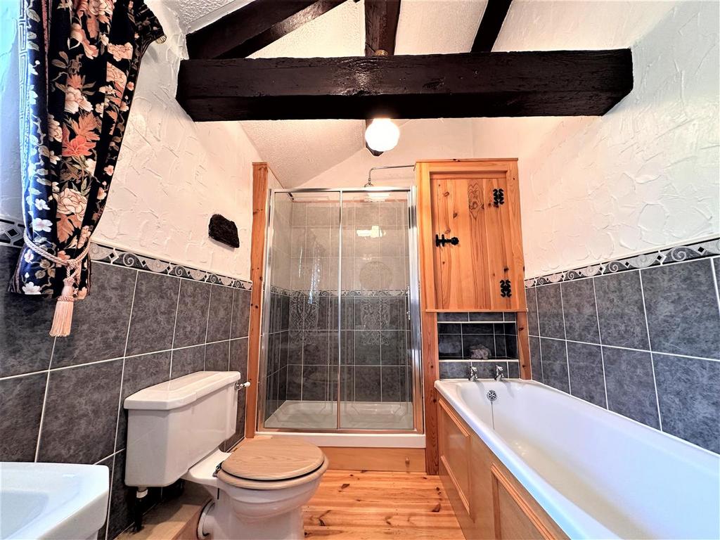 Family bath and shower room