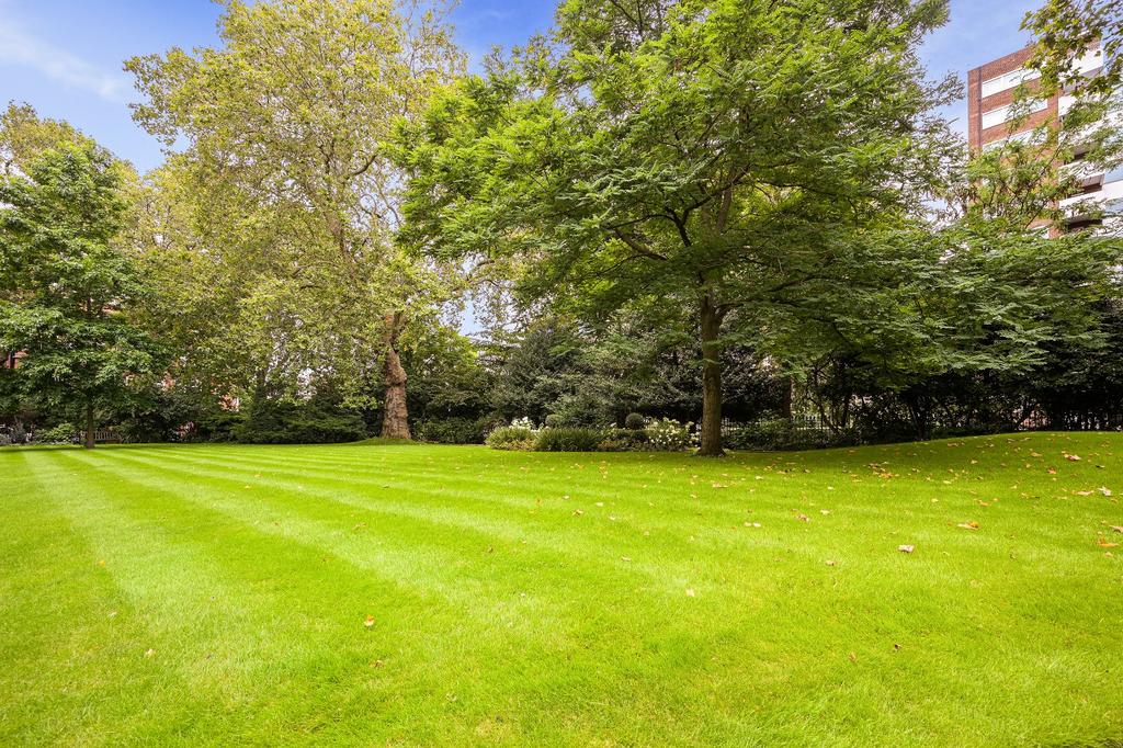 Communal Garden