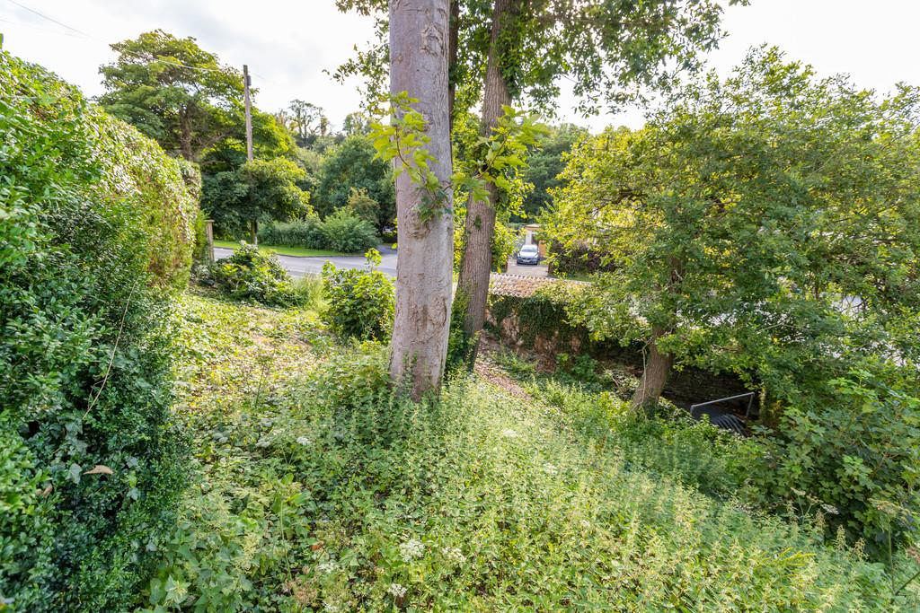 Additional Garden Area