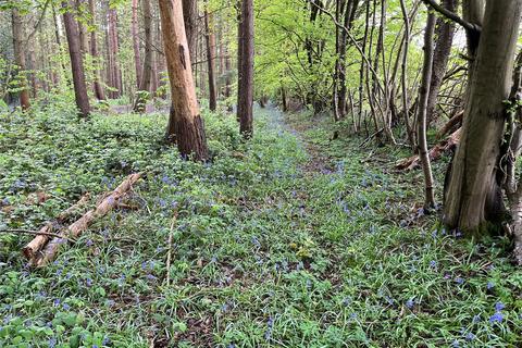 Land for sale, Moat Wood, East Hoathly, East Sussex, BN8