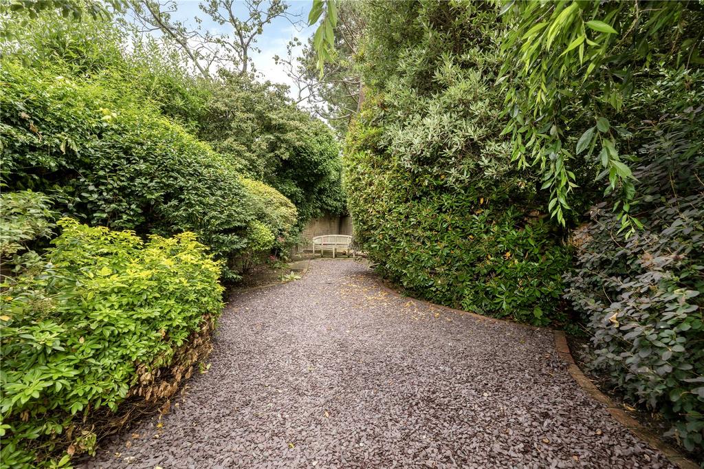 Driveway