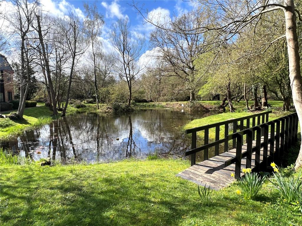 Pond