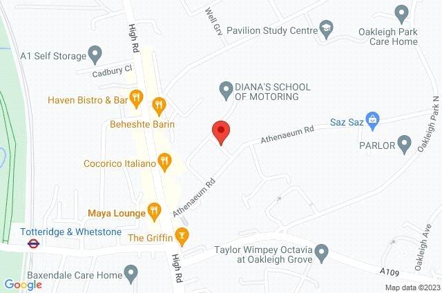 Google Maps Image