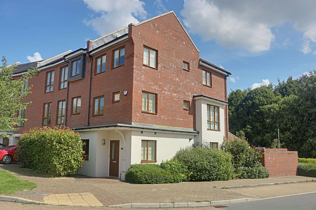 Peggs Way, Basingstoke RG24 9FX 4 bed end of terrace house for sale £