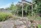 Garden at Back