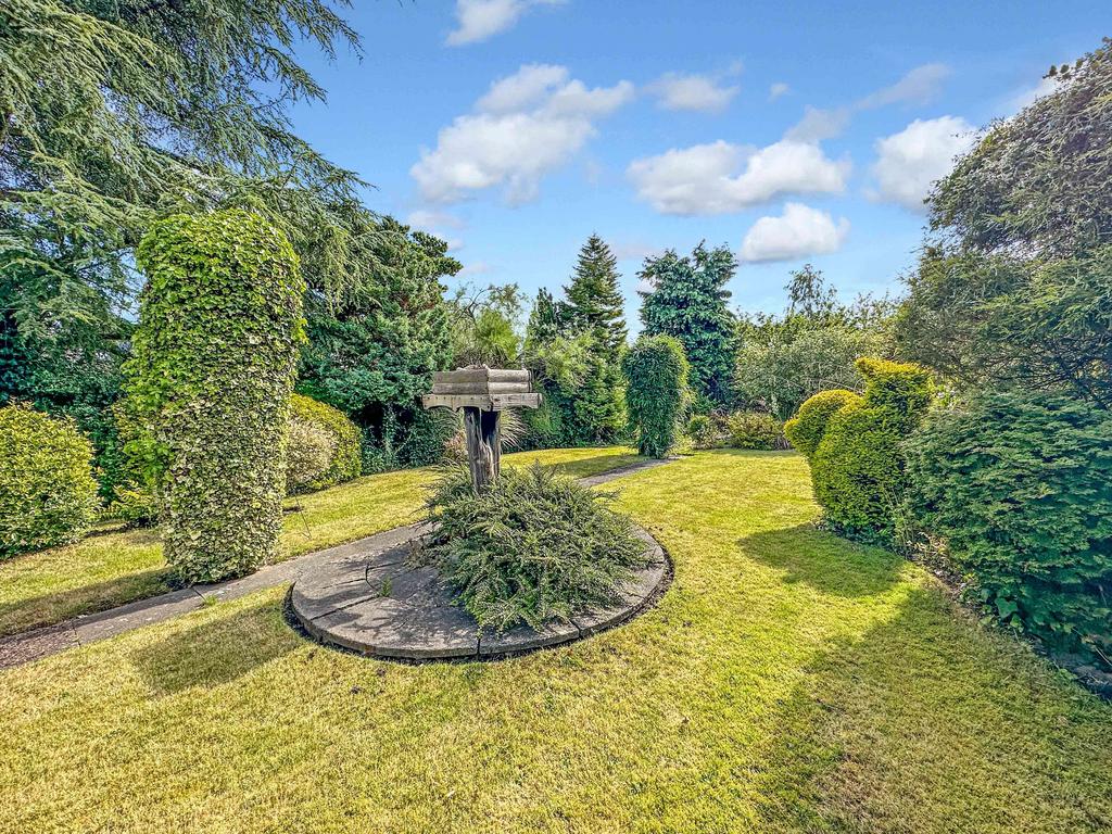 Garden at Back