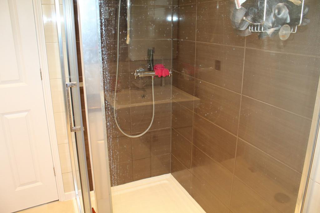 Shower Room Picture 2