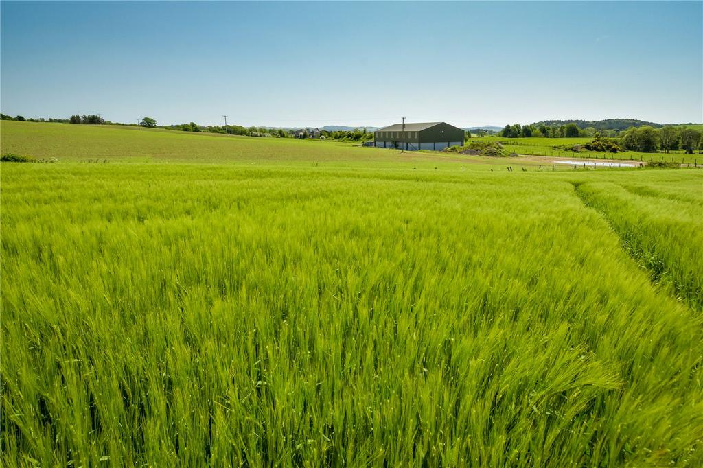 Letham Farm