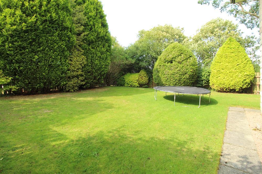Rear Gardens 2