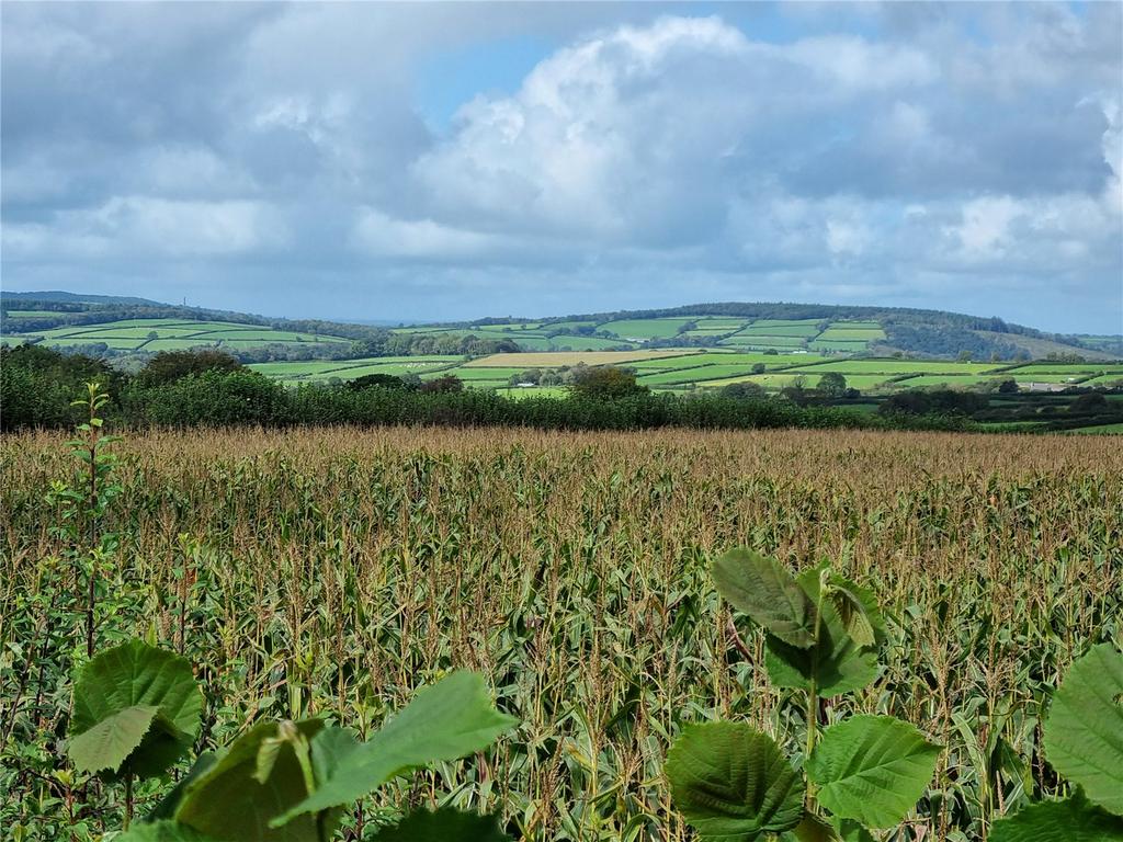 Crapstone, Yelverton Detached house for sale £750,000