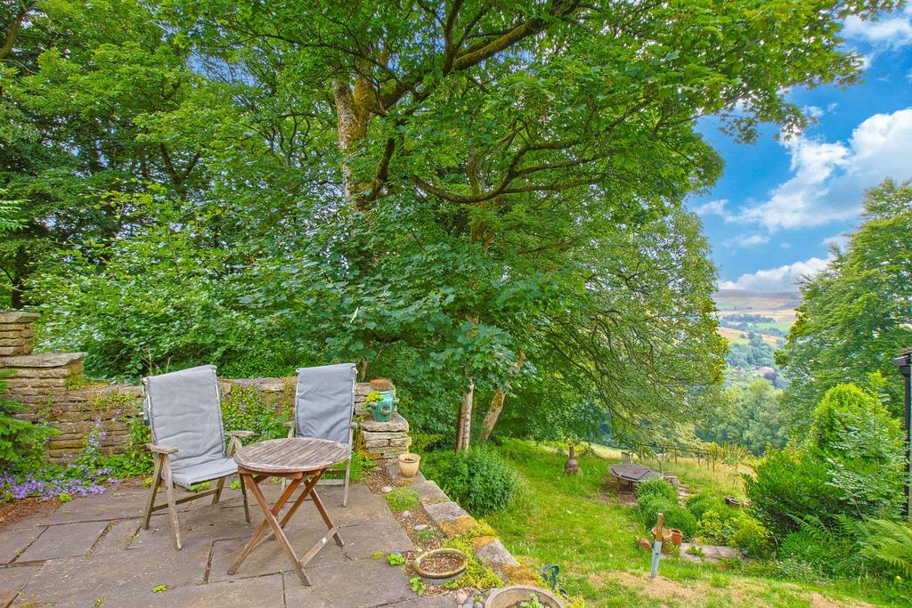 Garden at Back
