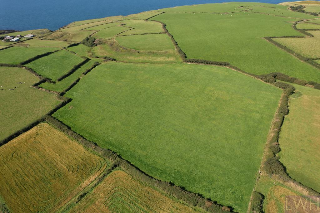 Dji 0397.jpg