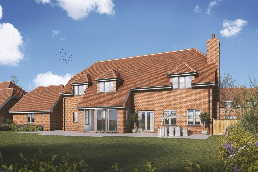 Plot8 Rear