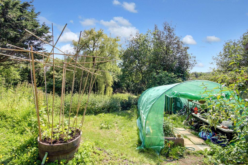 Garden at Back