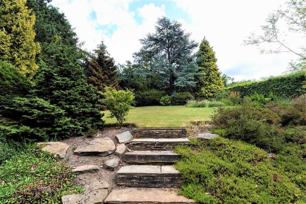 Steps into rear garden.jpg