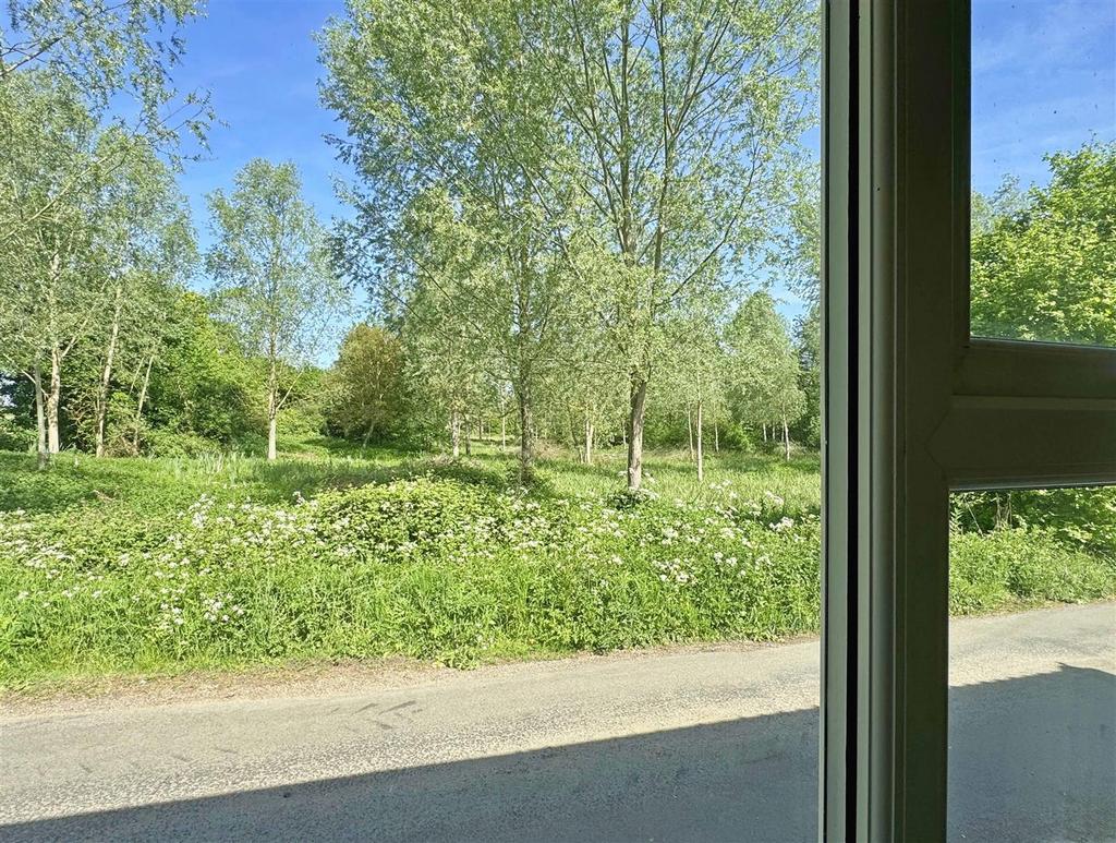 Meadow View.jpg