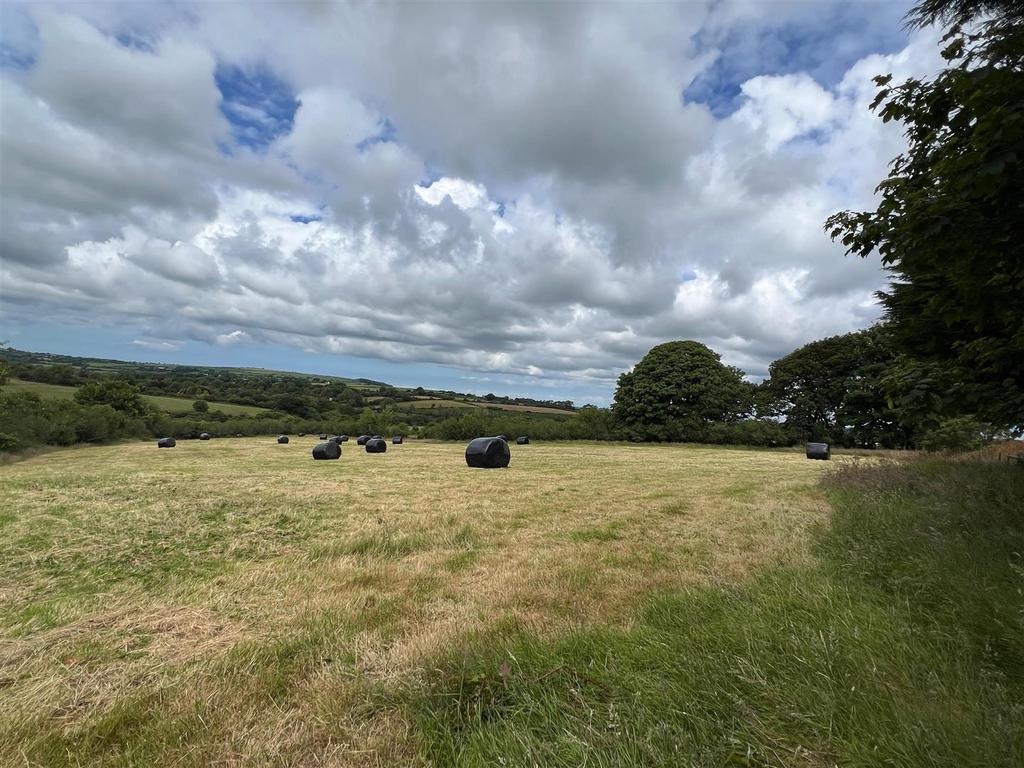 View of Lower Field