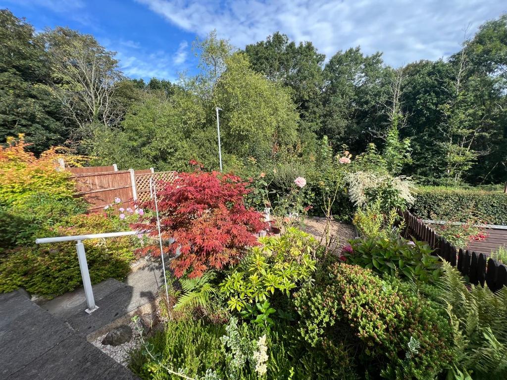REAR GARDEN 02.jpg