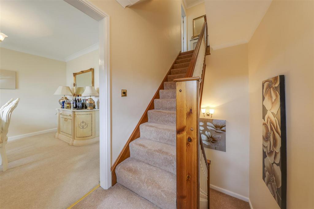 Cm2a0497-cm2a0501 2.jpg