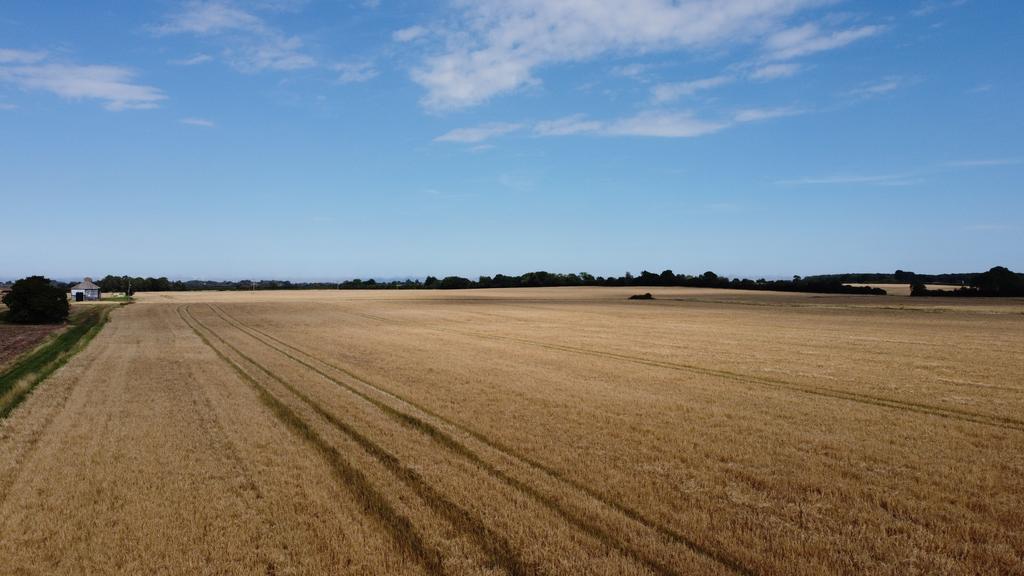 South Reston LN11 Farm land £2,600,000