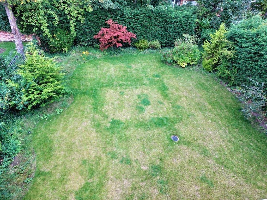 Communal Gardens