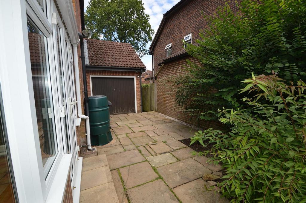 Garden 3.JPG