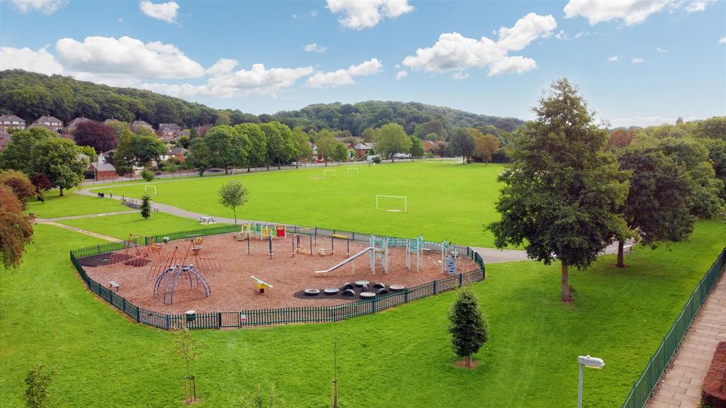 Park 3.jpeg