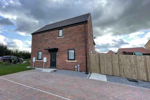 3 bedroom detached house for sale - Newton Lane, Darlington
