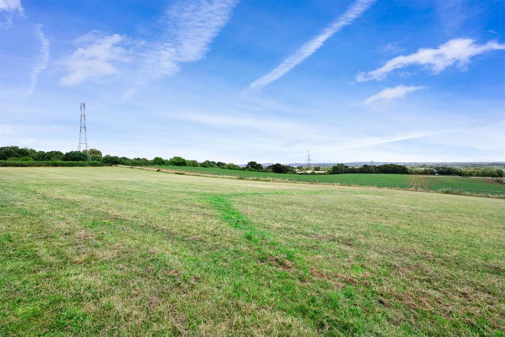 Eden Cottage - paddock2.jpg