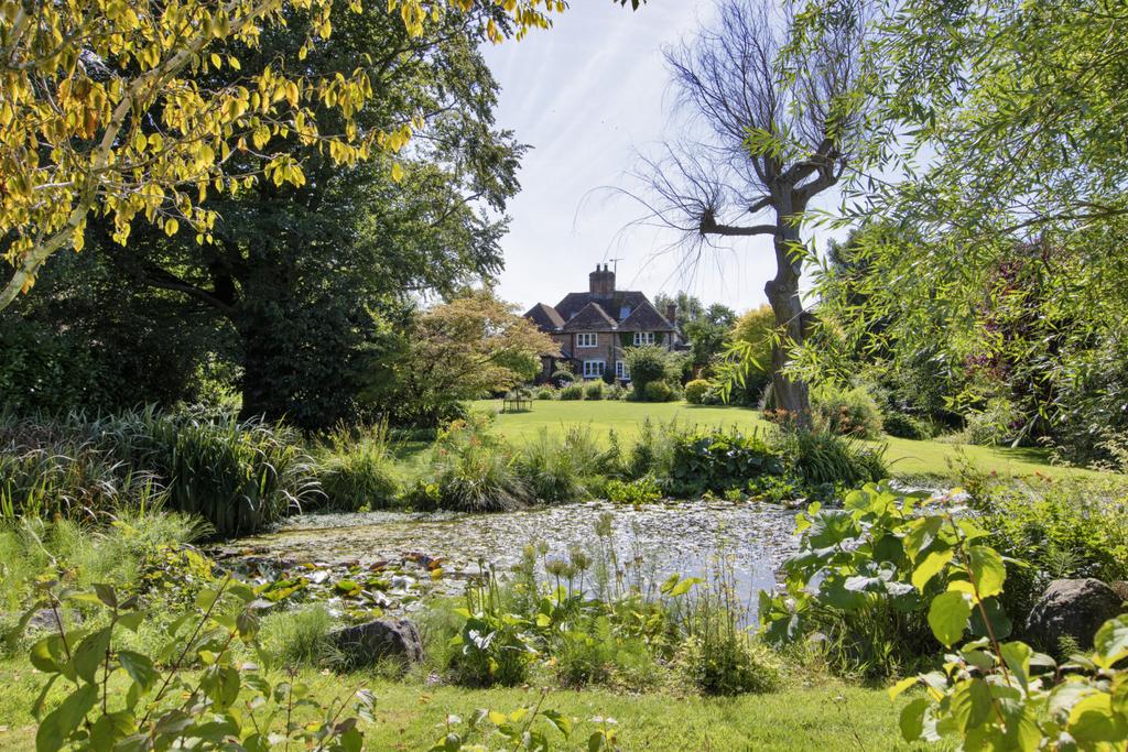 View Over Pond