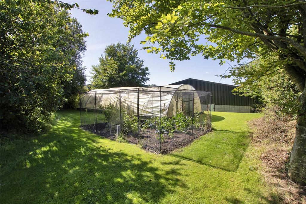 Kitchen Garden