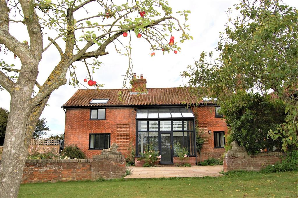 Rear Aspect